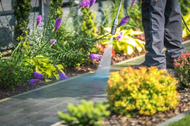 Professional Pressure Washing Services in North Charleroi, PA